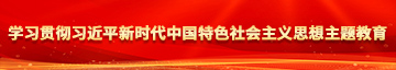 日老女人的比学习贯彻习近平新时代中国特色社会主义思想主题教育